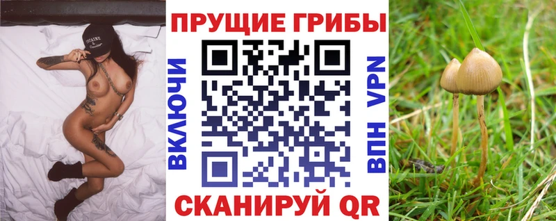 Галлюциногенные грибы мухоморы  Любим 